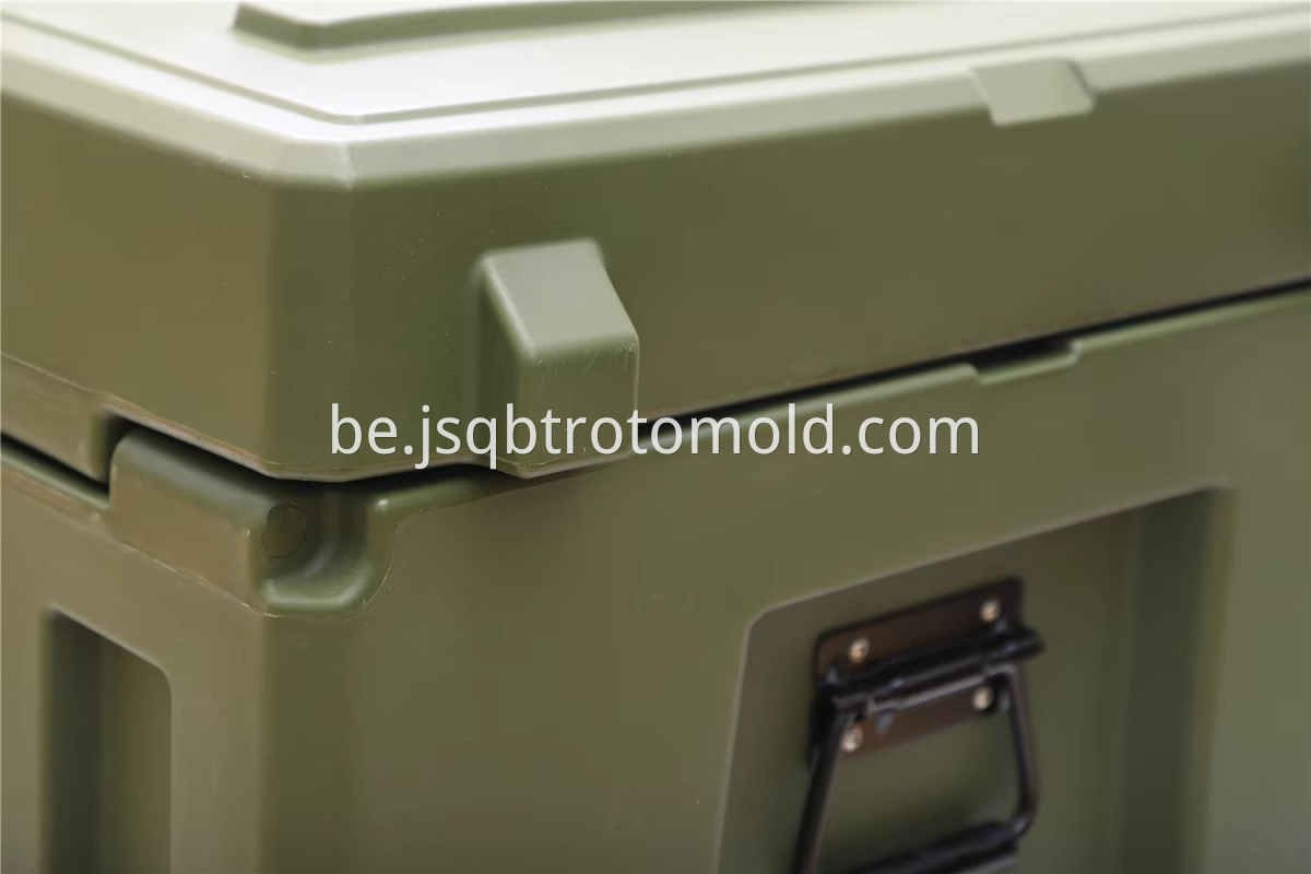 case (3)